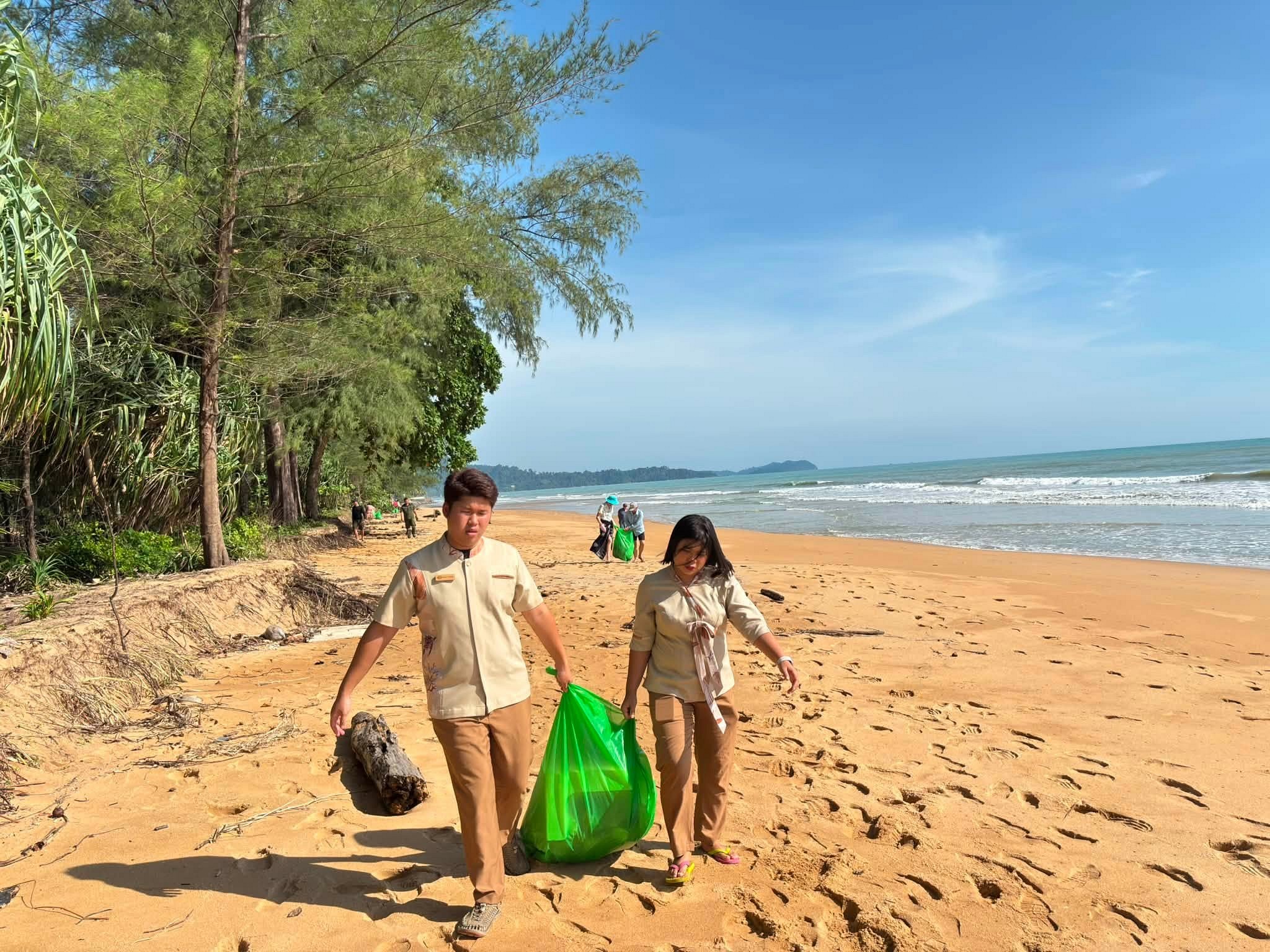 Sustainable Report: Download (link pdf)