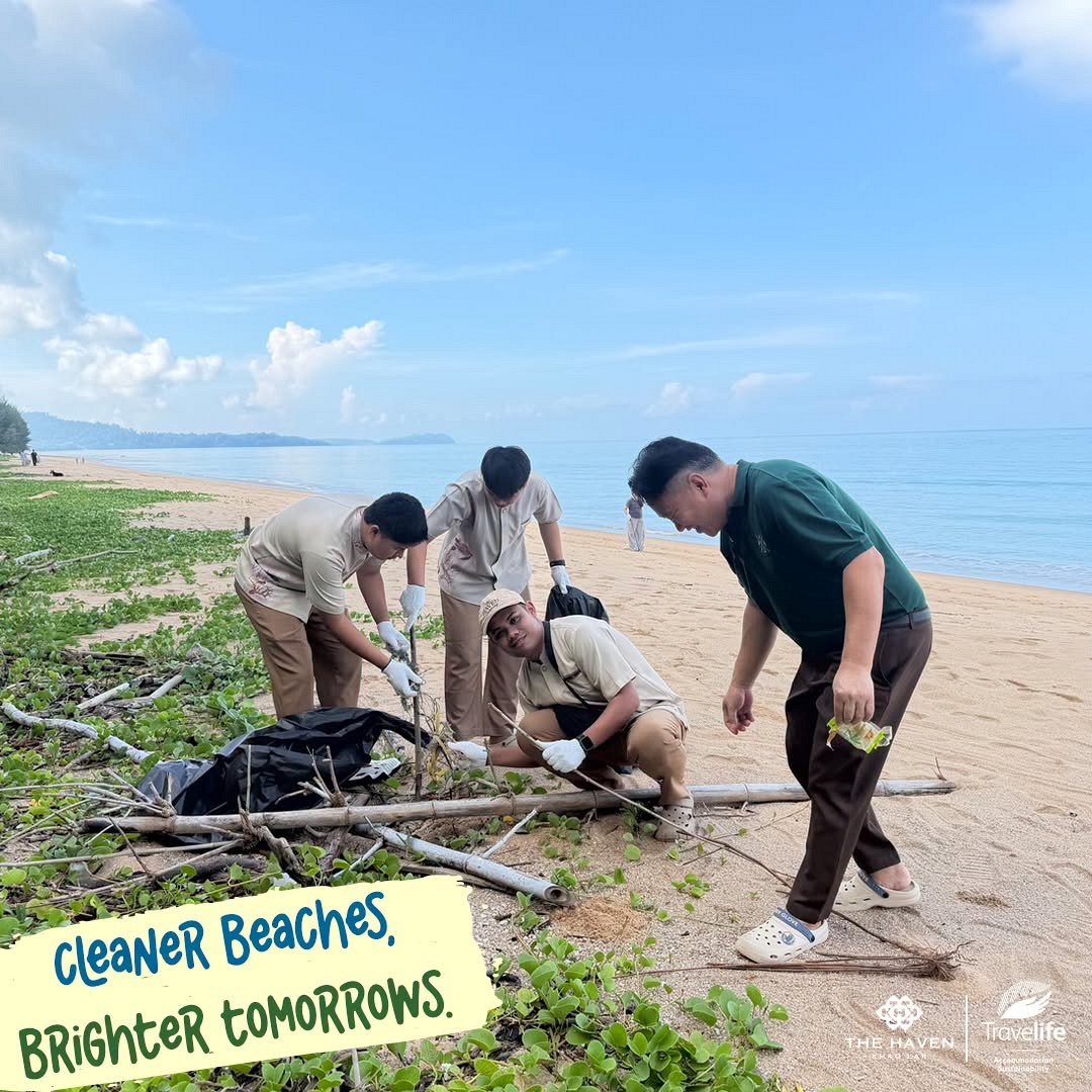 Sustainable Report: Download (link pdf)