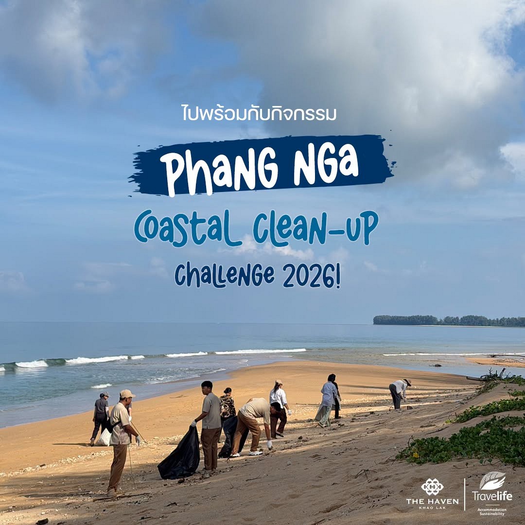 Sustainable Report: Download (link pdf)